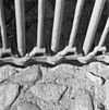 Exterieur DETAIL VAN GESMEDE LIGGER ONDERZIJDE HOOFDHEK - Assen - 20305529 - RCE -  Drostenhuis: Exterieur DETAIL VAN GESMEDE LIGGER ONDERZIJDE HOOFDHEK 