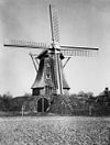 Rietgedekte achtkante beltmolen van voren gefotografeerd - Aalden - 20003298 - RCE -  Jantina Hellingmolen: Rietgedekte achtkante beltmolen van voren gefotografeerd 