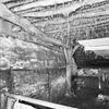 INTERIEUR, BIJSCHUUR 2 - Schoonebeek - 20272000 - RCE -  Boerderij: INTERIEUR, BIJSCHUUR 2 