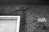 Voorgevel detail - Meppel - 20153314 - RCE -  Het Tolhuis: voorgevel detail 