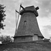 Ontwiekte grondzeiler - Beilen - 20150403 - RCE -  Molen van Makkum: Ontwiekte grondzeiler 