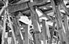 Kapspantconstructie - Norg - 20170005 - RCE -  Nederlands Hervormde Kerk: kapspantconstructie 