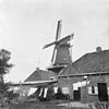 Zicht op de oliekorenmolen De Woldzigt met de dienstgebouwen - Roderwolde - 20188904 - RCE -  Woldzigt/ Oliekorenmolen 