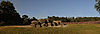 Havelte Hunebed Panorama