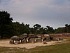 Hunebed Havelte