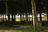 3-Rijksmonument 511924 -  Rijksmonument in de Flevopolder, A27/Vogelweg, Zeewolde 