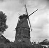 Korenmolen 