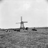 Overzicht - Scharsterbrug - 20195333 - RCE -  Ten-Bruggencatenummer: 03289: Overzicht (opmerking: Van deze molen is ook een Sipman-tekening) 