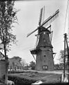 Korenmolen, aanzicht - Anjum - 20022565 - RCE -  Korenmolen 