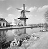 Overzicht windmolen met houtopslagloods - Birdaard - 20345469 - RCE -  De Zwaluw: Overzicht windmolen met houtopslagloods (opmerking: Gefotografeerd voor Monumenten In Nederland Friesland, bladzijde 99) 