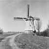 Molen 