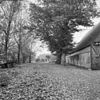 Zijgevel romp en boerderij - Sexbierum - 20199407 - RCE -  Liauckema State: zijgevel romp en boerderij 