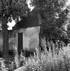 Tuinhuis, zijgevel - Harlingen - 20102122 - RCE -  tuinhuis, zijgevel 