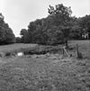 Zicht over de weide in de landschapstuin - Wijnaldum - 20213734 - RCE -  Roptastate: Zicht over de weide in de landschapstuin 
