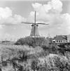 Aanzicht Korenmolen en omgeving - Vrouwbuurstermolen - 20247691 - RCE -  aanzicht Korenmolen en omgeving 