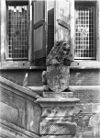 Detail voorgevel - Leeuwarden - 20130878 - RCE -  Kanselarij: detail voorgevel 