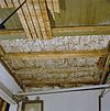 INTERIEUR, PLAFONDSCHILDERING (BALKEN EN PLANKEN), DETAIL - Leeuwarden - 20279523 - RCE -  INTERIEUR, PLAFONDSCHILDERING (BALKEN EN PLANKEN), DETAIL 