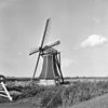 Molen Langwert te Winsum van opzij gefotografeerd - Winsum - 20215098 - RCE -  Langwert: Molen Langwert te Winsum van opzij gefotografeerd 