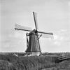 Molen Langwert te Winsum schuin van voren gefotografeerd - Winsum - 20215099 - RCE -  Langwert: Molen Langwert te Winsum schuin van voren gefotografeerd 