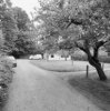 Ext.overzicht met huis Giesing
