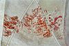 Interieur, middenschip met gewelfschildering - Bergum - 20336651 - RCE -  Nederlands Hervormde Kerk: Interieur, middenschip met gewelfschildering 