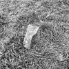 Fragment Hardsteen - Bolsward - 20037717 - RCE -  Heeremahuis: fragment Hardsteen 