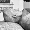 INTERIEUR, GRAFMONUMENT (KAREL VAN GELRE), DETAIL - Arnhem - 20289728 - RCE -  Eusebius- of Grote Kerk (Nederlands Hervormd): INTERIEUR, GRAFMONUMENT (KAREL VAN GELRE), DETAIL 