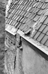 Achtergevel, voorbouw, aansluiting op buurhuis met bloktandlijst, detail - Arnhem - 20277166 - RCE -  Achtergevel, voorbouw, aansluiting op buurhuis met bloktandlijst, detail 