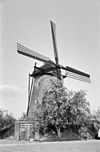 Korenmolen, gedeeltelijk aan het oog onttrokken door een boom, schuin van opzij gefotografeerd - Elden - 20069356 - RCE -  De Hoop: Korenmolen, gedeeltelijk aan het oog onttrokken door een boom, schuin van opzij gefotografeerd 
