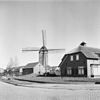 Standerdmolen, overzicht in verval - Beuningen - 20034353 - RCE -  Ten-Bruggencatenummer: 02573: standerdmolen, overzicht in verval 