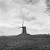 Korenmolen, overzicht in verval - Bronkhorst - 20044104 - RCE -  Diversen: korenmolen, overzicht in verval 