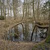 Waterpartij ten noord oosten van het huis - Vorden - 20330249 - RCE -  Huis Het Enzerinck: Waterpartij ten noord oosten van het huis 