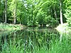 Kasteel De Wildenborch brug -  stenen brug 
