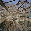 Kas, overzicht interieur - Vorden - 20330265 - RCE -  Huis Het Enzerinck: Kas, overzicht interieur 