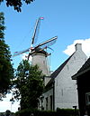 RM 11333, molen met huis -  de molen Prins van Oranje, Buren 