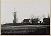 Ronde stenen molen op stadswal in vervallen toestand - Buren - 20324447 - RCE -  De Prins van Oranje: Ronde stenen molen op stadswal in vervallen toestand 