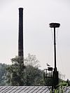 Deest (Druten) monumentenwacht bij Rijksmonument 523809 schoorsteen steenoven Vogelsangh.JPG -  Deest (Druten) monumentenwacht bij Rijksmonument 523809 schoorsteen Steenoven Vogelsangh Munnickhofsestraat 33, foto genomen vanaf de Waalbandijk 