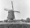 Doesburgse Molen, aanzicht - Ede - 20066931 - RCE -  Diversen: Doesburgse Molen, aanzicht 