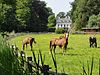 Klarenbeek achterzijde -  Achterzijde Huis Klarenbeek te Doornspijk