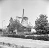 Korenmolen 