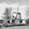 Korenmolen 