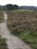 Grafheuvel bij Ermelo uit het Neoliticum-IJzertijd, langs wandelroute in natuurgebied,Archeoregio 3