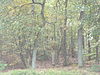 Archeologisch monument 45438 - Harderwijk -  Archeologisch monument 45438 - Harderwijk, Gelderland 