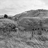 Overzicht - Pannerden - 20181548 - RCE -  Sperfort Pannerden: overzicht 