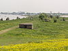 Doornenburg Rijksmonoment 8943 Fort Pannerden bunker 1.JPG -  Doornenburg (Lingewaard) 