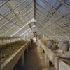 Interieur, overzicht van kas met plantbakken en tuingereedschap