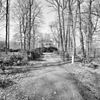 Overzicht oprijlaan - Lochem - 20338995 - RCE -  De Boekhorst: Overzicht oprijlaan 
