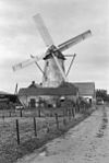 Molen 