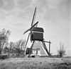 Achterste molen van polder Hellouw en Haaften, aanzicht - Hellouw - 20107929 - RCE -  Diversen: achterste molen van polder Hellouw en Haaften, aanzicht 