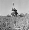 Exterieur OVERZICHT - Ophemert - 20313020 - RCE -  POLDERMOLEN: Exterieur OVERZICHT 